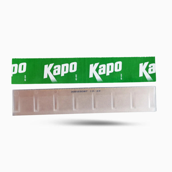 Piège K.pro pour punaises de lit