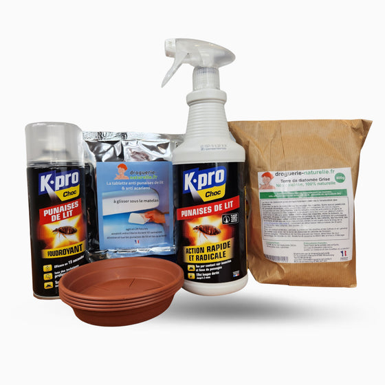 KIT de traitement Foudroyant anti punaises de lit 20 m² avec K.pro