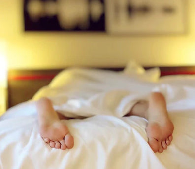 Voyage et chambres d'hôtel avec punaises de lit