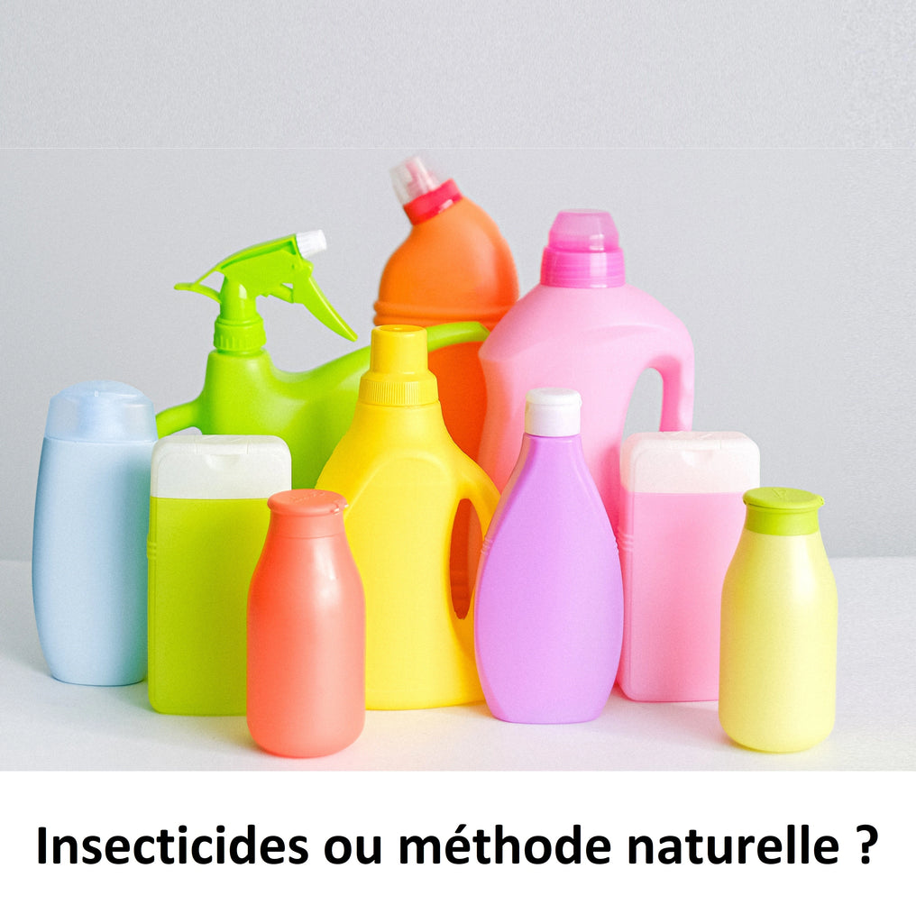 Les insecticides sont-ils efficaces