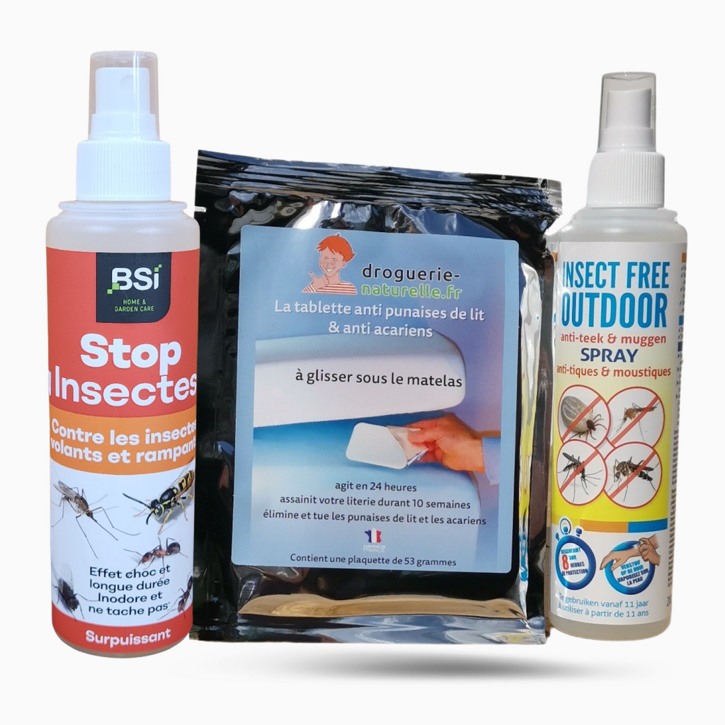 A KIT for traveling without bedbugs