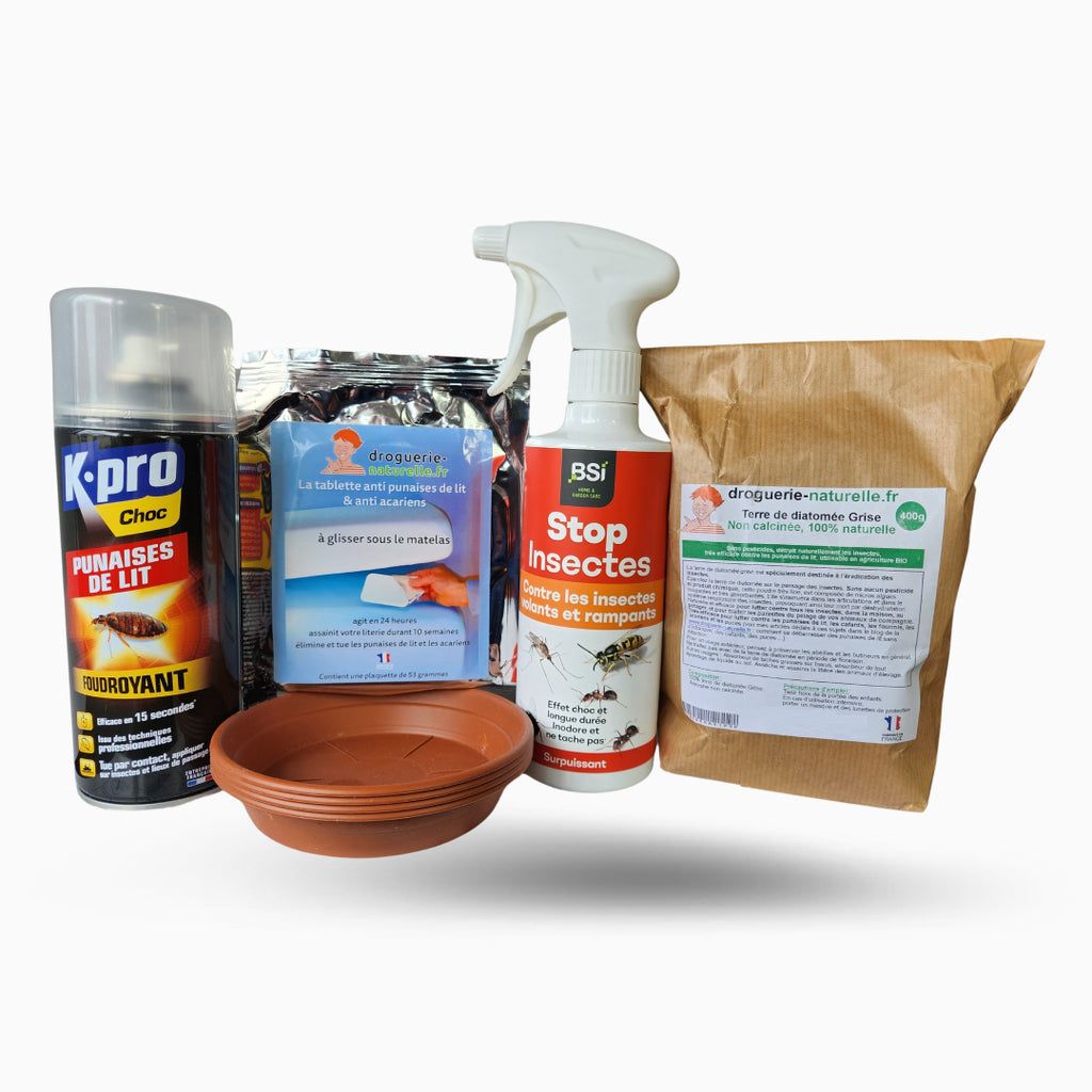 Kit anti punaises de lit pour une chambre de 20m²