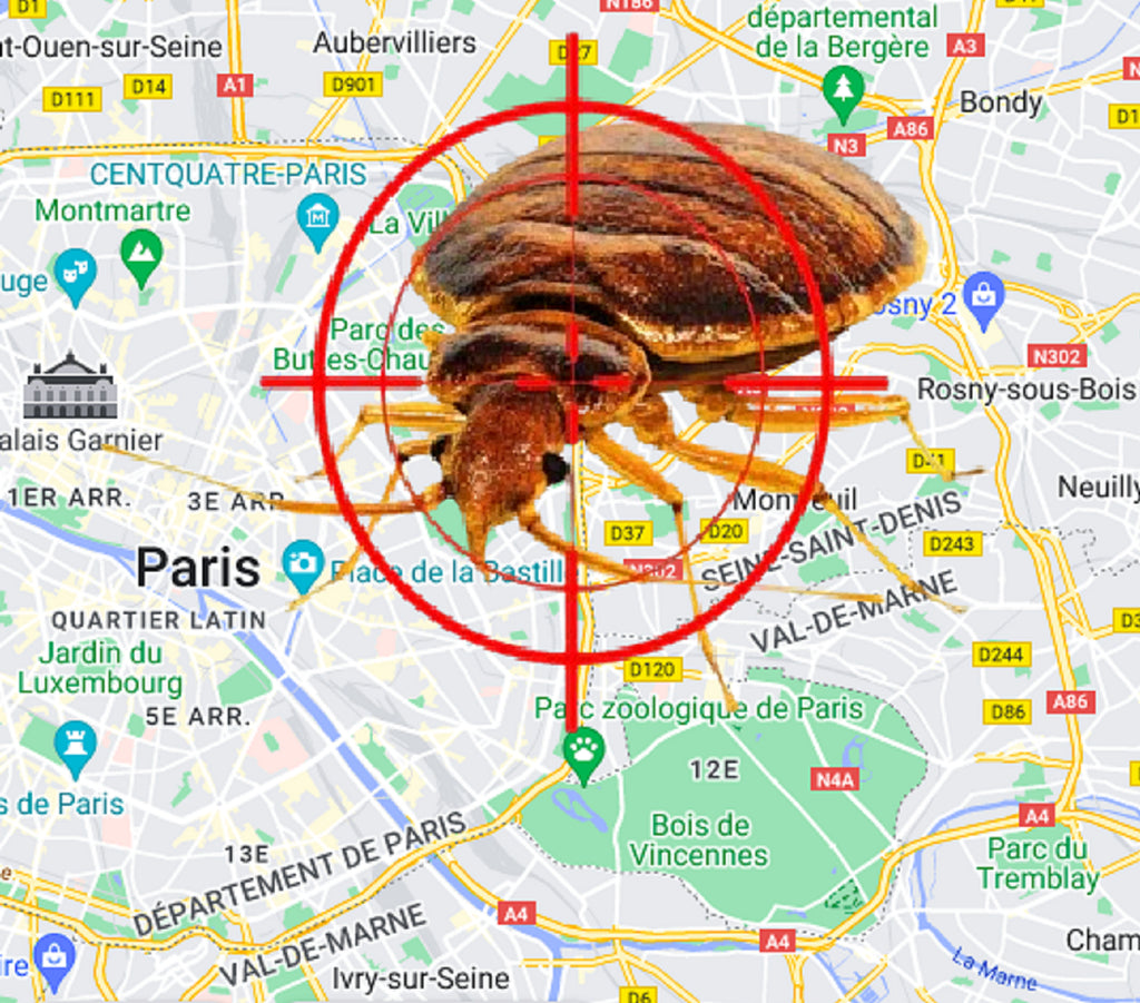 Y a-t-il des punaises de lit à Neuilly-Plaisance ?