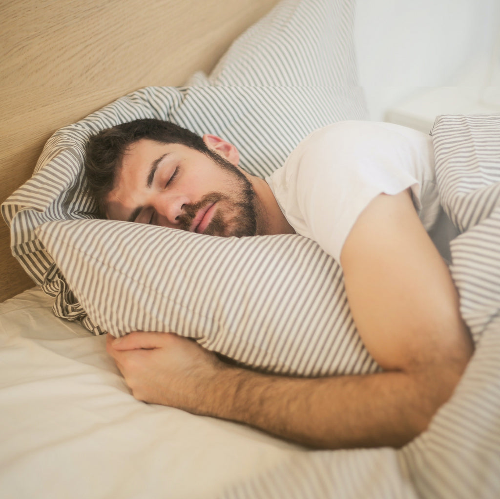 Dormez sans piqûres de punaises de lit