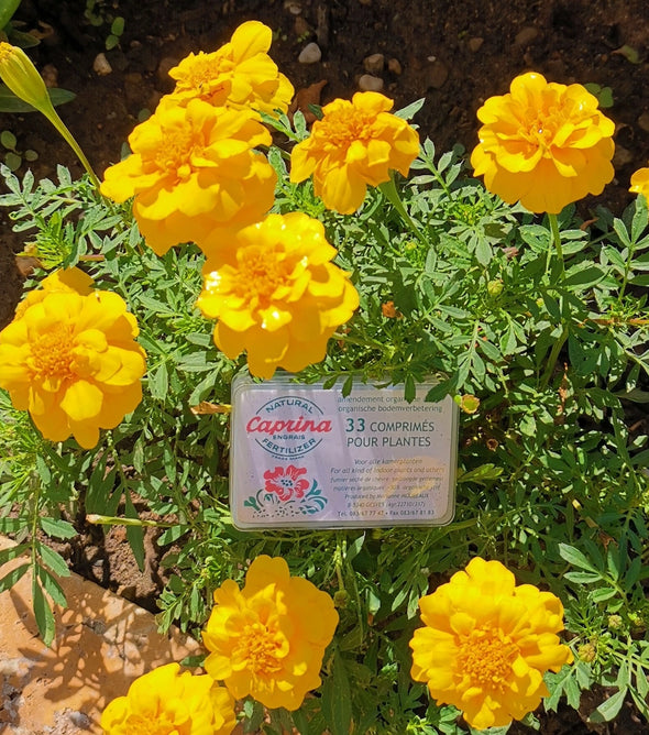 Engrais naturel  au fumier de chèvres - CAPRINA