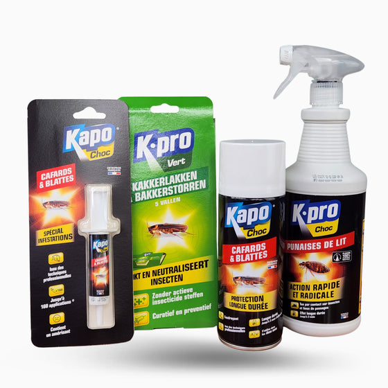 Kit de traitement anti punaises de lit 20 m² avec K.pro Choc