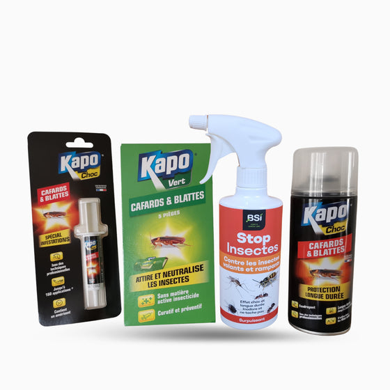 Kit de traitement anti punaises de lit 20 m² avec BSI STOP Insectes