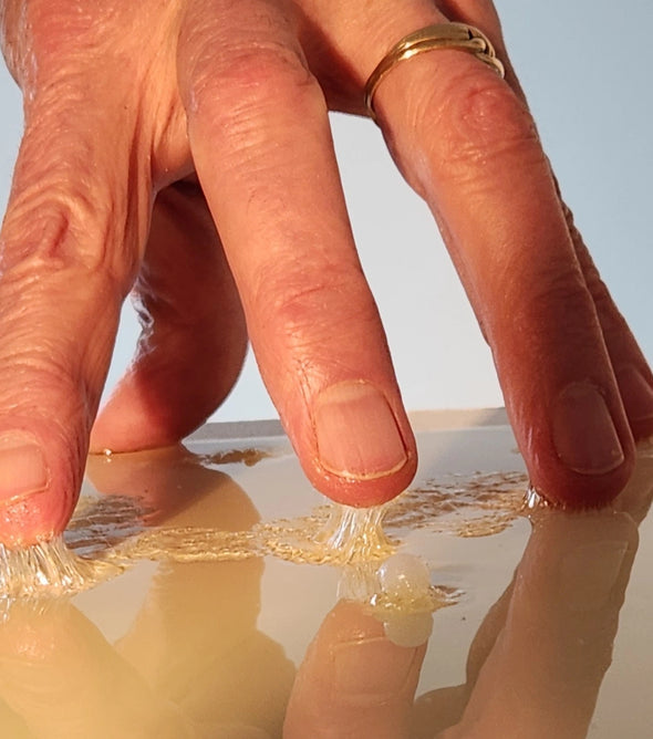 2 pièges à souris à la glu